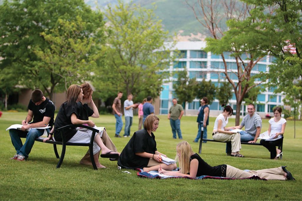 Young students relaxing and studying in large green space.